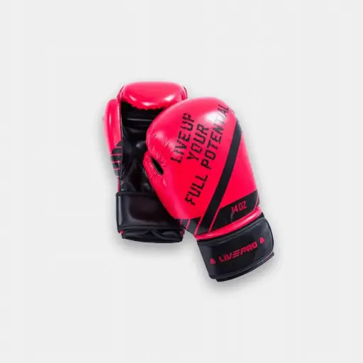 GUANTES DE BOXEO